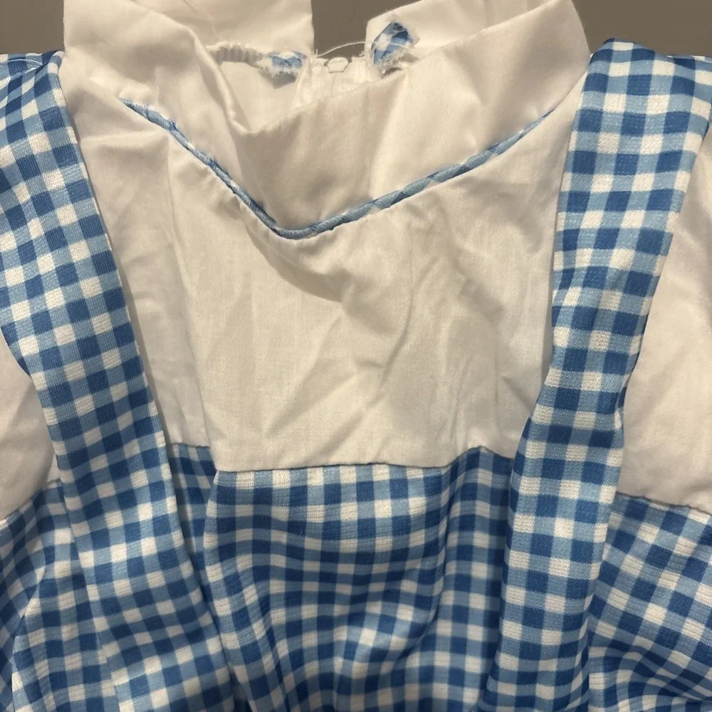 Rubie’s dorothy wizard